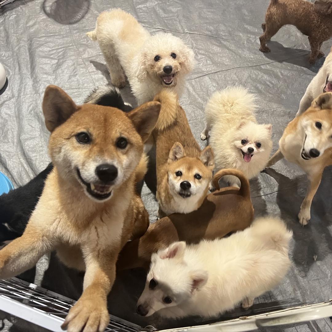 志工拿著電話與筆記本，窗邊貼滿流程便條