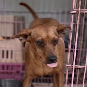 歐練｜初次守護