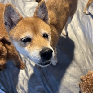 睫毛姐｜初次守護