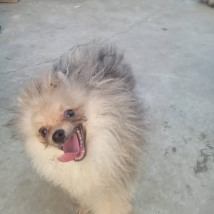 開心｜初次守護