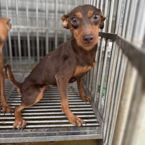 可可｜初次守護