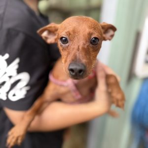 小寶｜初次守護