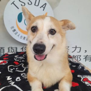 胖基｜初次守護