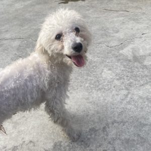 麻吉｜初次守護