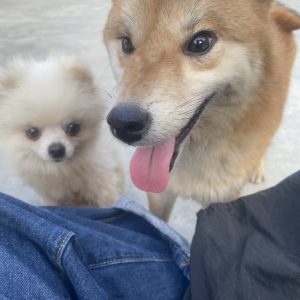 ㄎㄧㄤㄎㄧㄤ