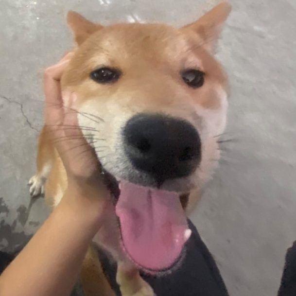 QQ